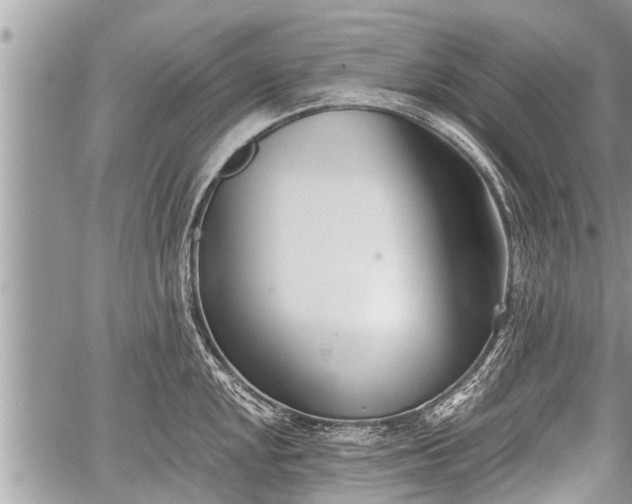 X0000060241048200510311517