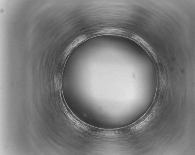 X0000060241049200510311517