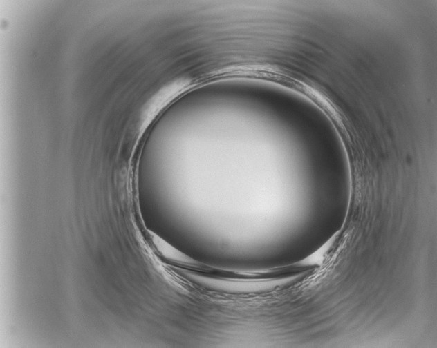 X0000060241050200510311517