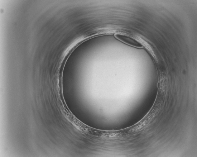 X0000060241051200510311517