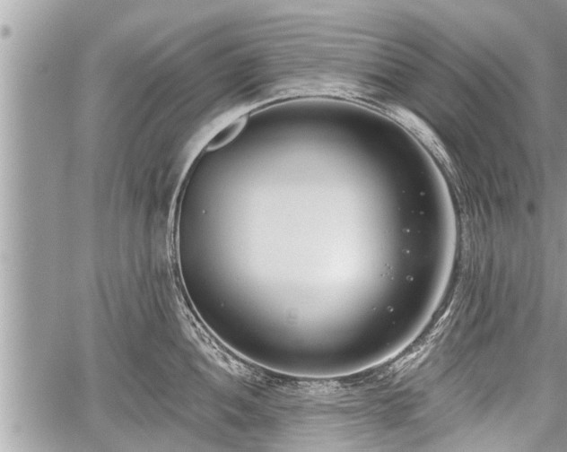 X0000060241052200510311517