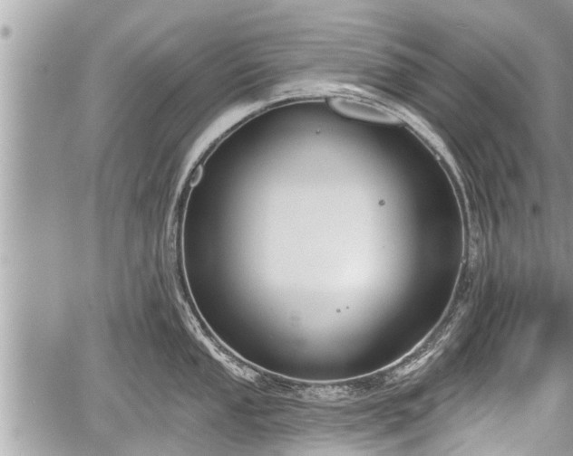 X0000060241053200510311517