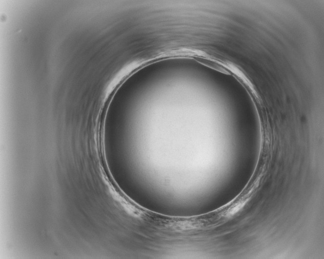 X0000060241054200510311517