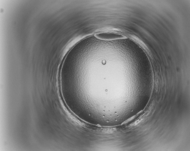 X0000060241055200510311517