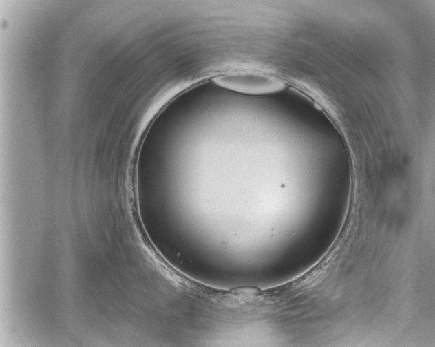 X0000060241056200510311517