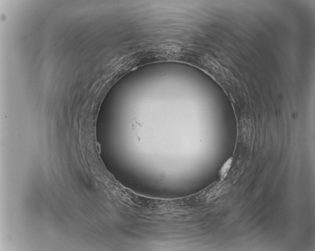 X0000060241057200510311516