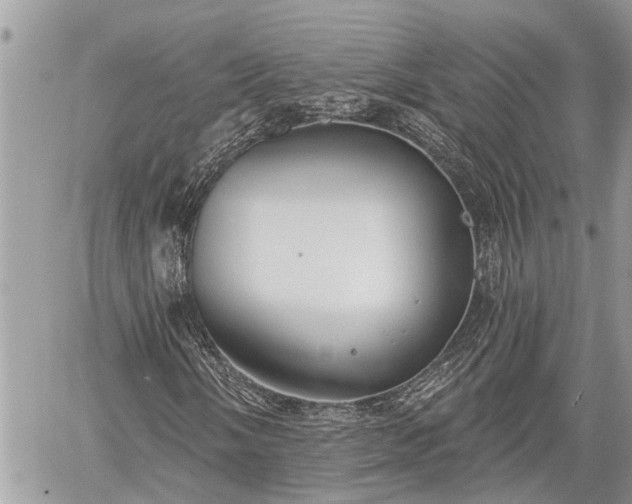 X0000060241058200510311516