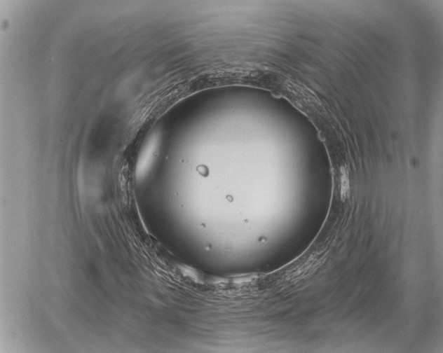 X0000060241059200510311516