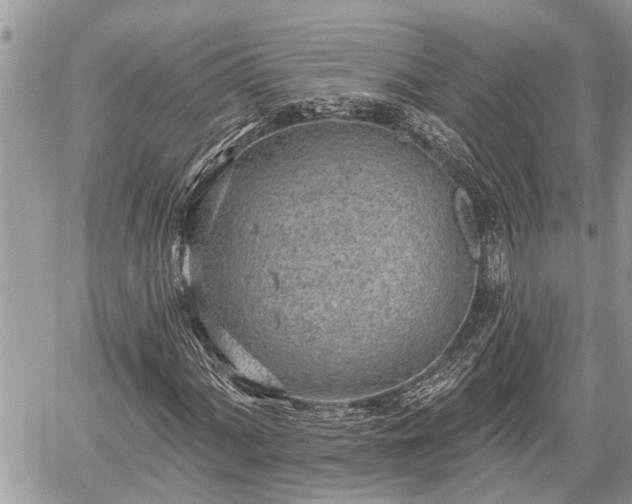 X0000060241060200510311516