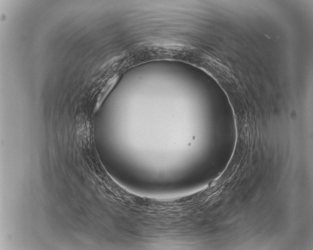 X0000060241061200510311516