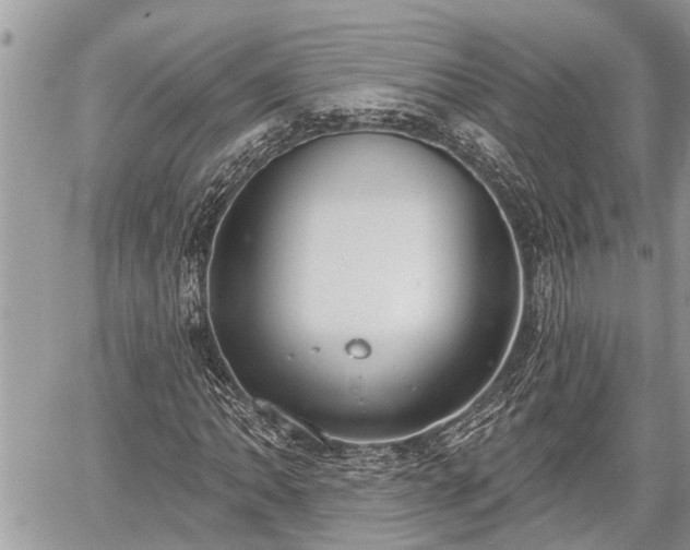 X0000060241062200510311516