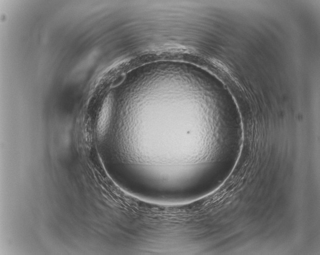 X0000060241063200510311516