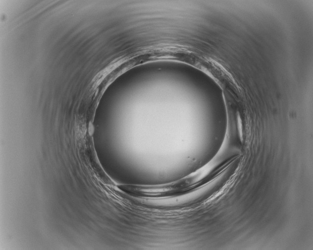 X0000060241065200510311516