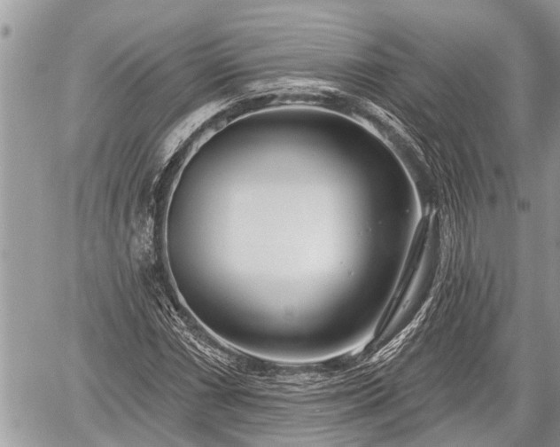 X0000060241066200510311516