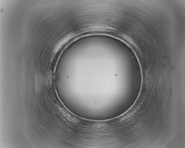 X0000060241067200510311516