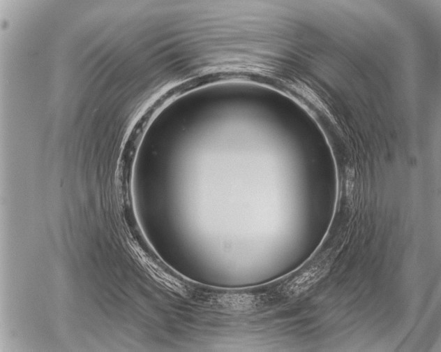 X0000060241068200510311516