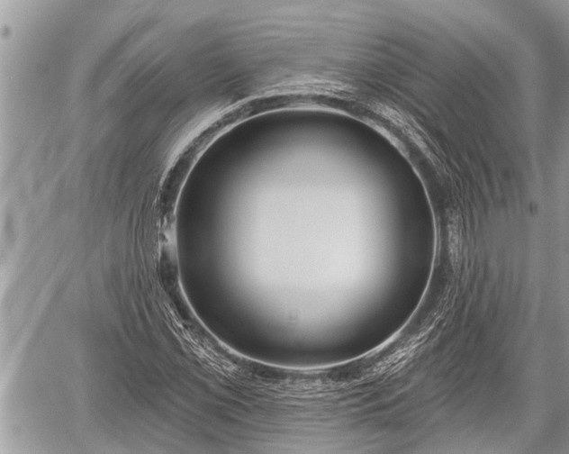 X0000060241069200510311516