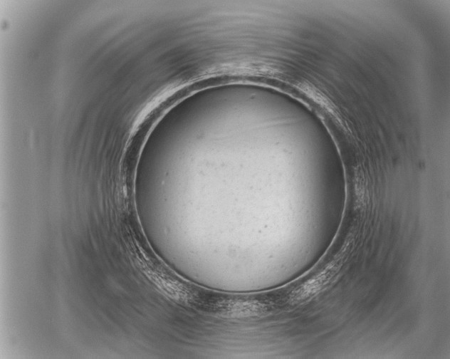 X0000060241070200510311516