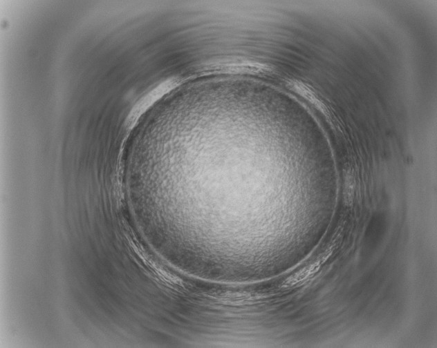 X0000060241071200510311516