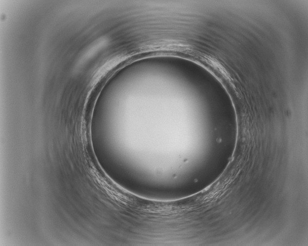 X0000060241072200510311516