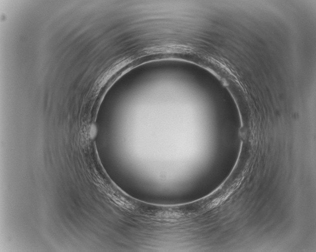 X0000060241073200510311516