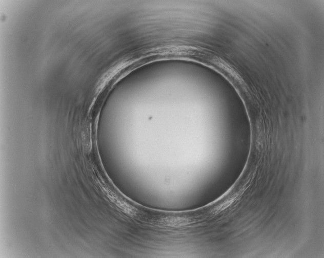 X0000060241075200510311516