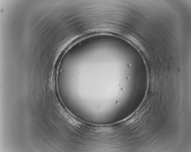 X0000060241076200510311516