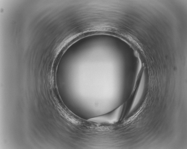 X0000060241077200510311516