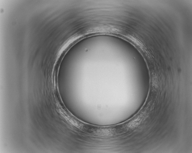 X0000060241078200510311516