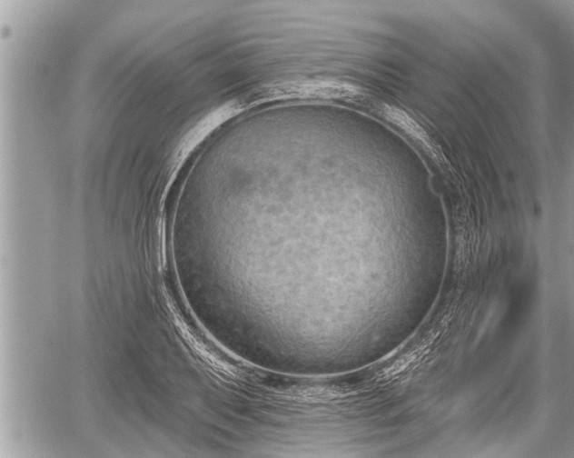 X0000060241079200510311516