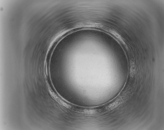 X0000060241080200510311516