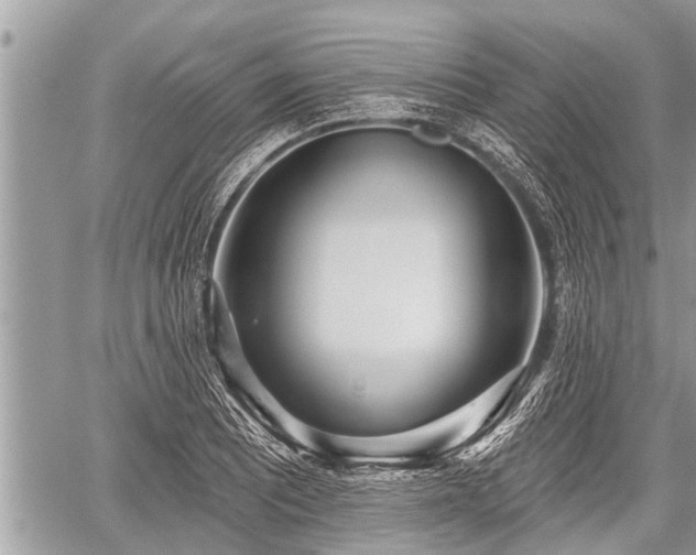 X0000060241081200510311516