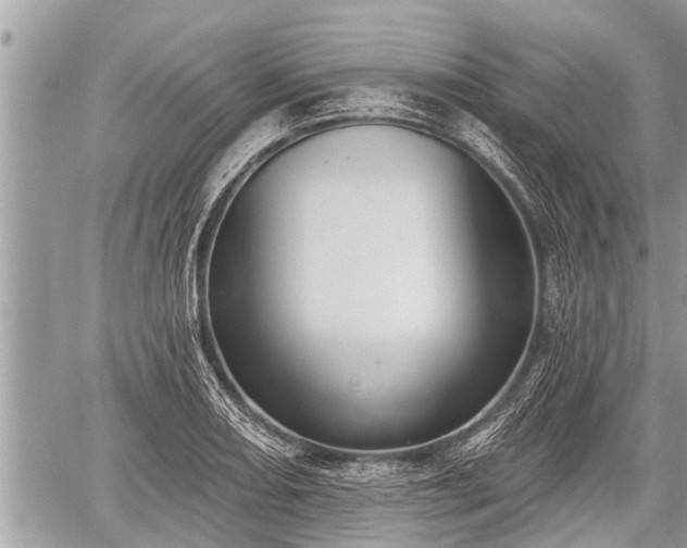 X0000060241082200510311516