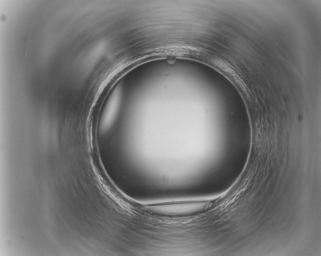 X0000060241083200510311516