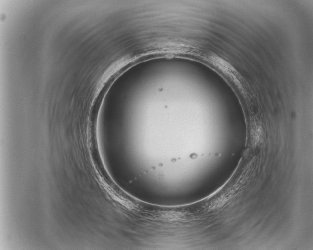 X0000060241085200510311516