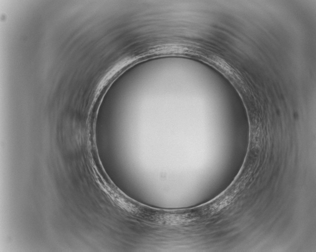 X0000060241086200510311516