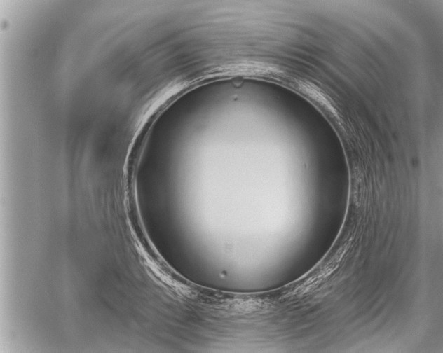 X0000060241087200510311516