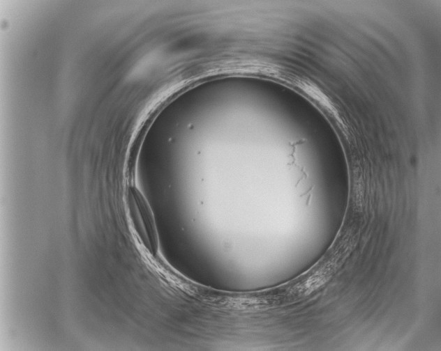 X0000060241088200510311516