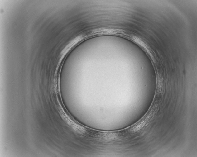 X0000060241090200510311516