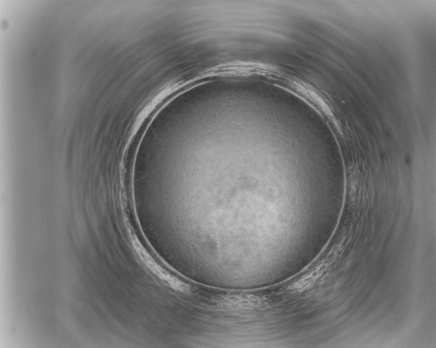 X0000060241091200510311515