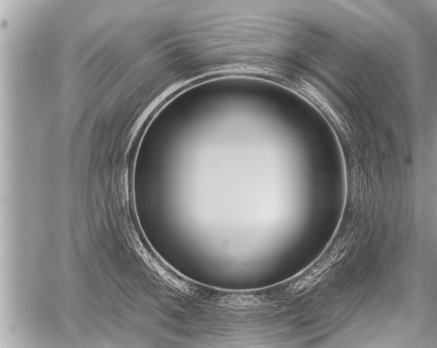 X0000060241092200510311515