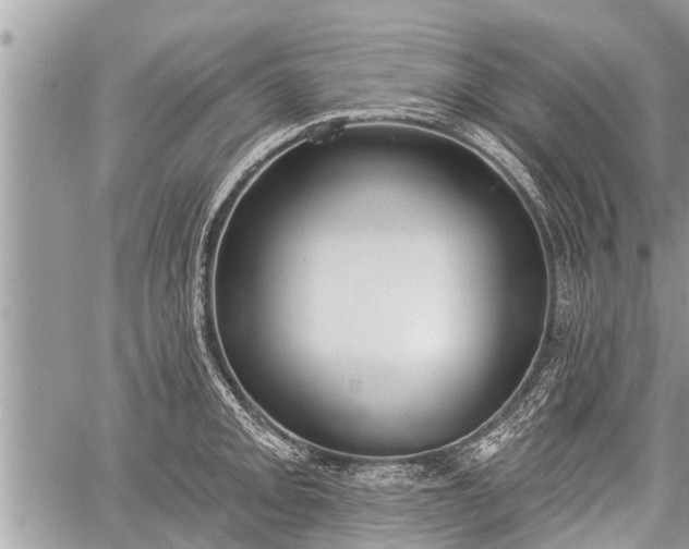 X0000060241093200510311515