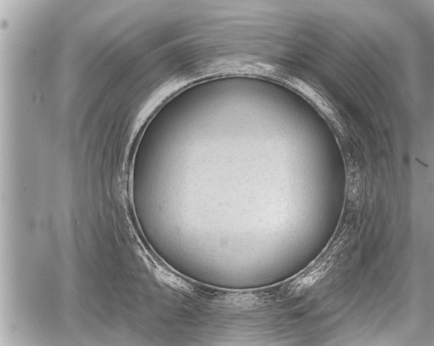 X0000060241094200510311515