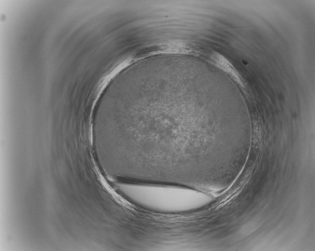 X0000060241095200510311515