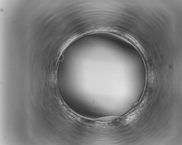 X0000060241097200510311515