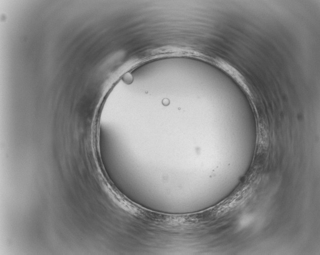 X0000060241098200510311515