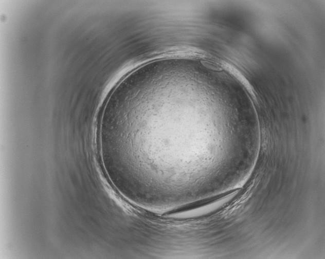 X0000060241099200510311515