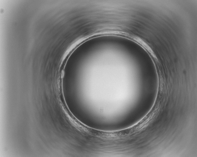 X0000060241101200510311515