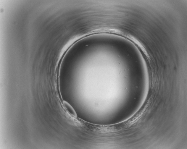 X0000060241102200510311515