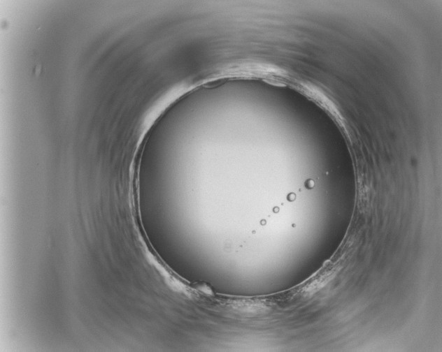 X0000060241103200510311515